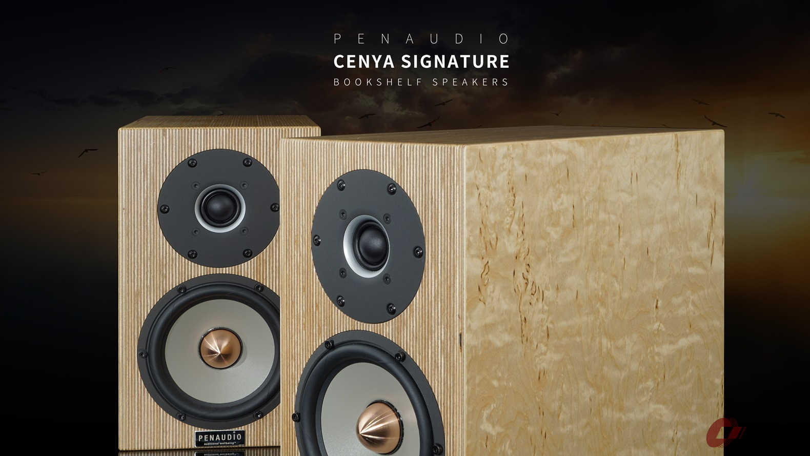 0125_penaudio_cenya_signature_002.jpg