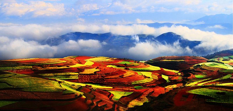七彩大地.jpg