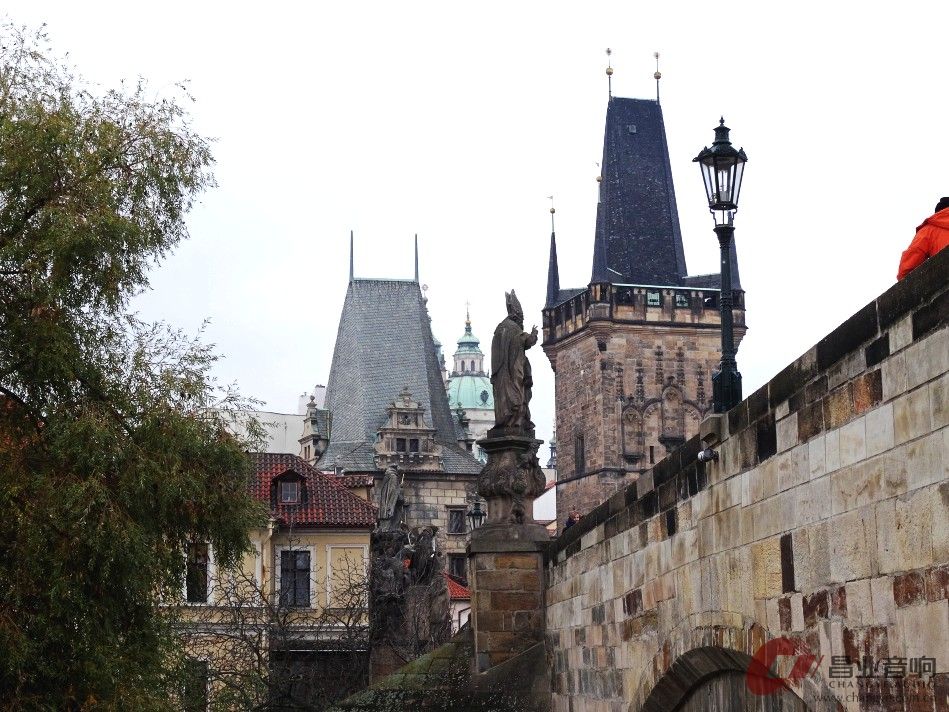 DSC02643_conew1.JPG