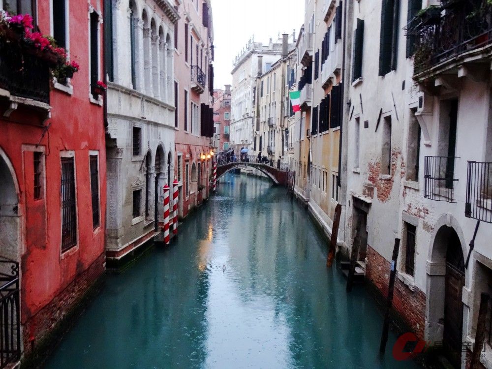 DSC03117_conew2.jpg